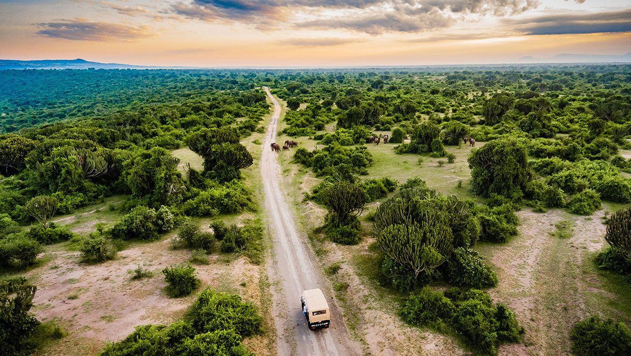 Reaching Mweya Safari Lodge is relatively straightforward, with both road and air options available. The drive from Kampala or Entebbe takes approximately six to seven hours and passes through scenic countryside that adds to the overall journey.
