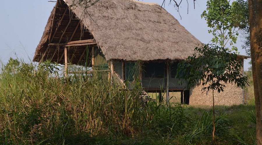 Ntungwe River Grass View