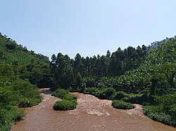 Ntungwe River Green View