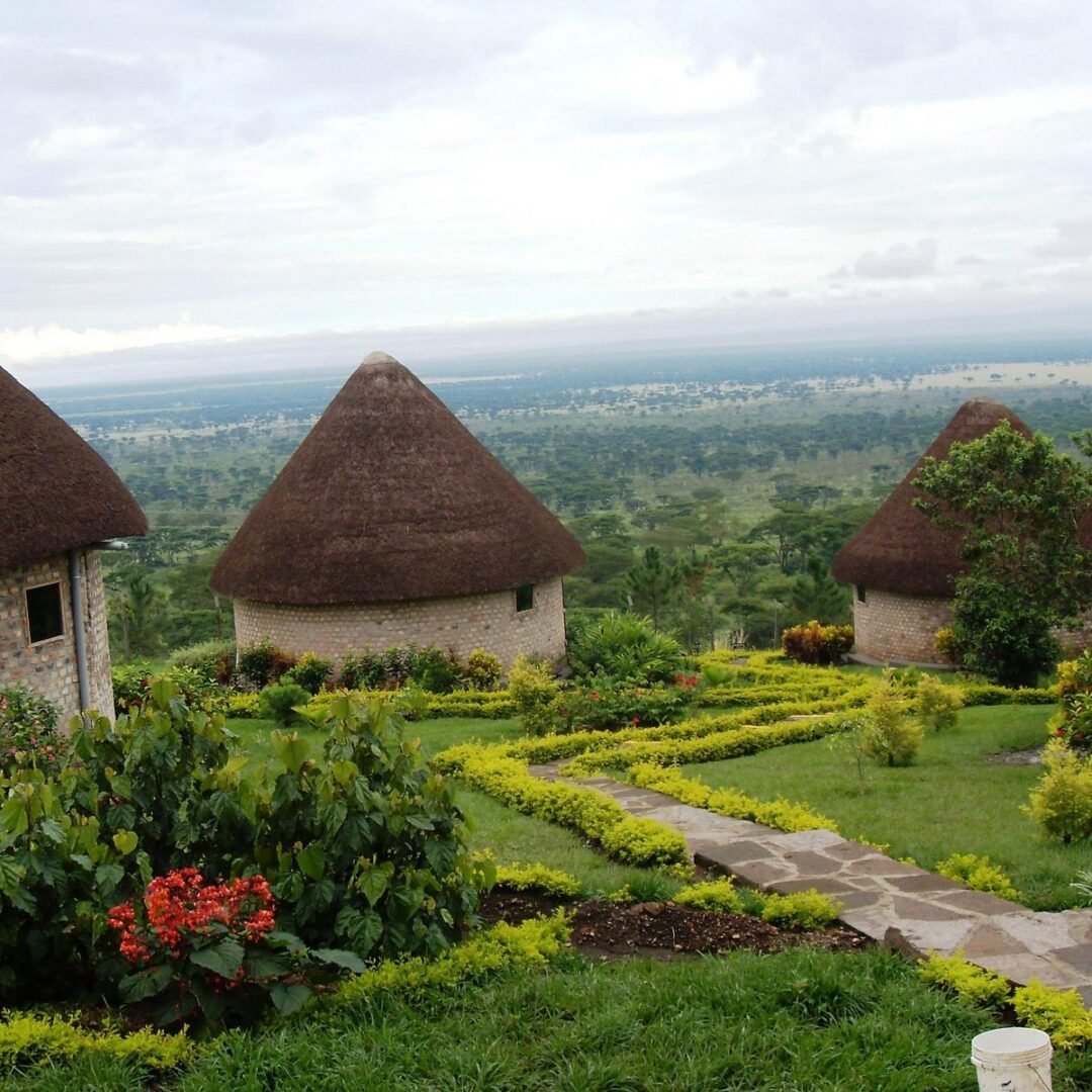 Park View Safari Lodge Guests