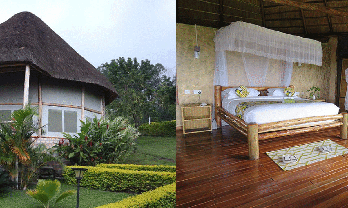 Park View Safari Lodge