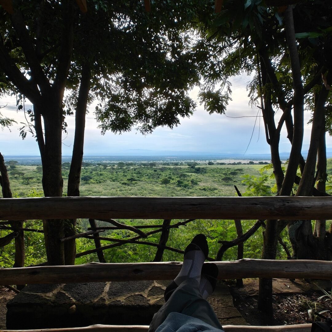 Pumba Safari Cottages Wilderness