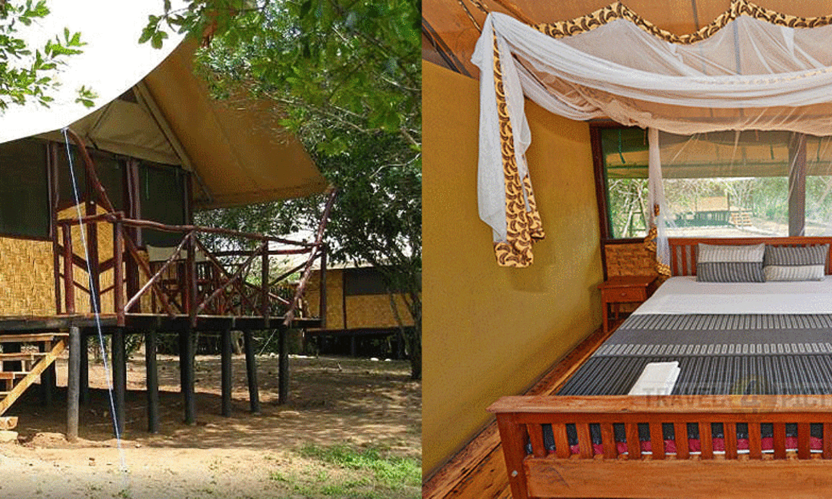 Queen Elizabeth Bush Lodge House