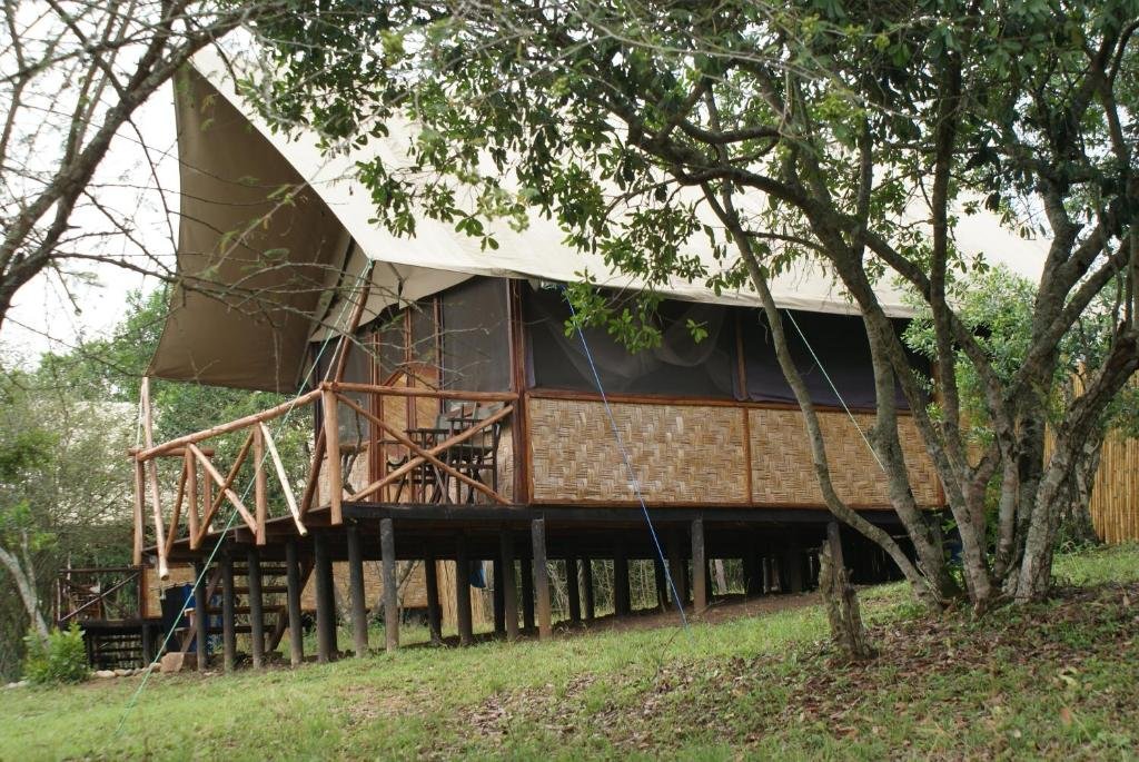 Queen Elizabeth Bush Lodge Tree