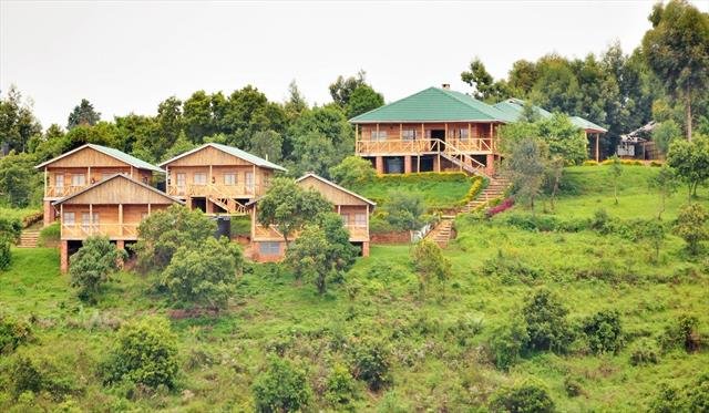 Ruhija Gorilla Safari Lodge provides luxury accommodation in a tranquil forest setting. The lodge