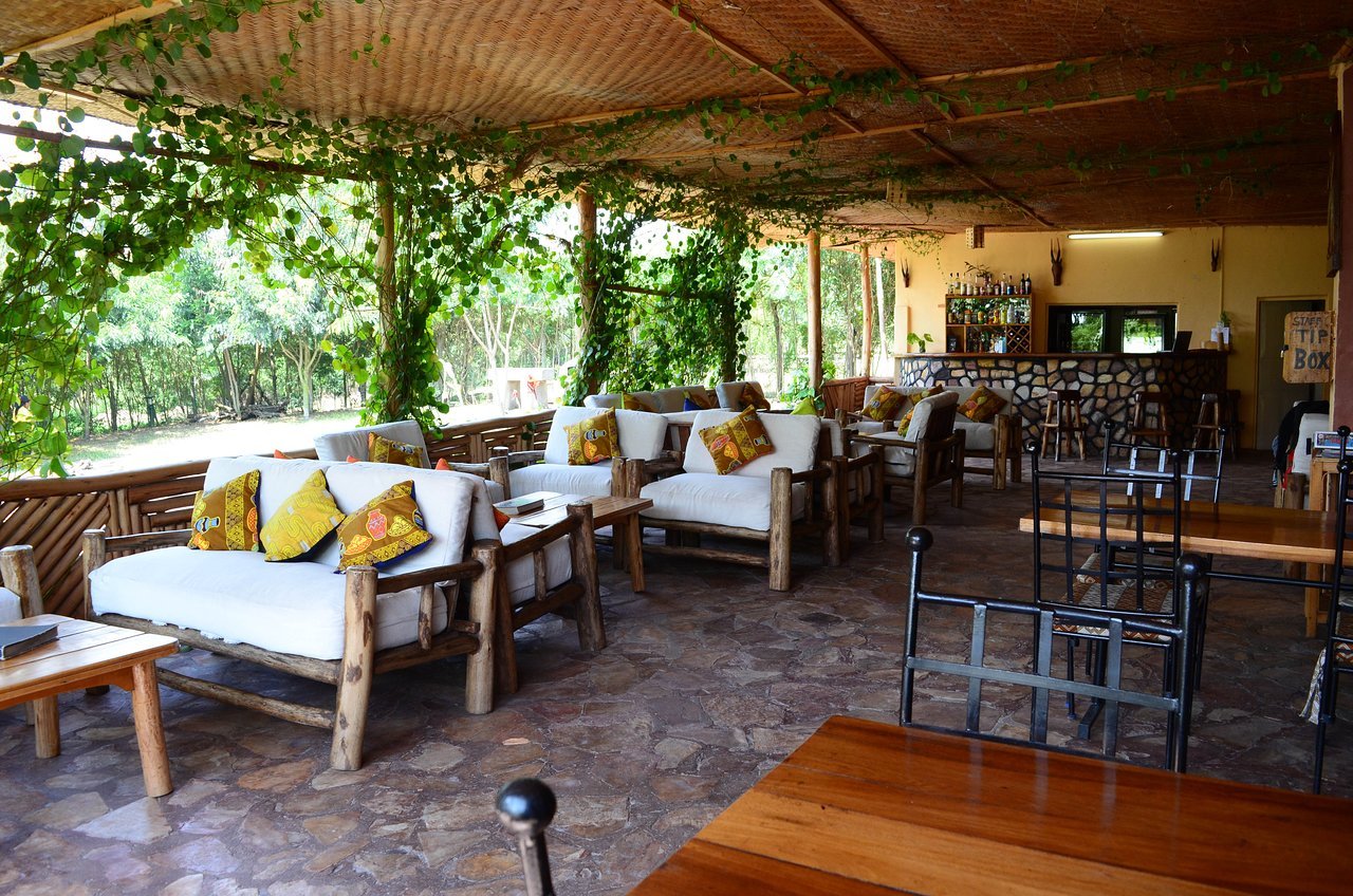 Simba Safari Camp Accommodation