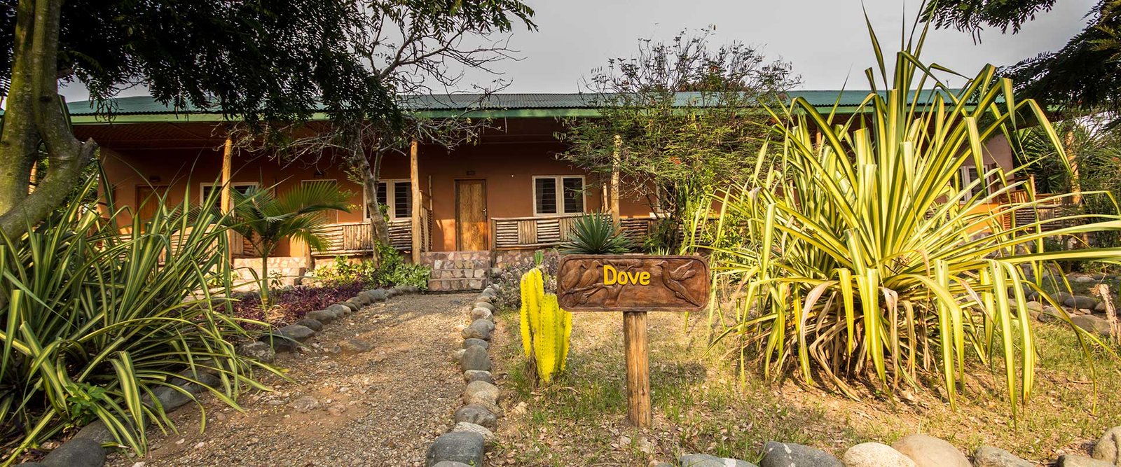 Simba Safari Camp Compound