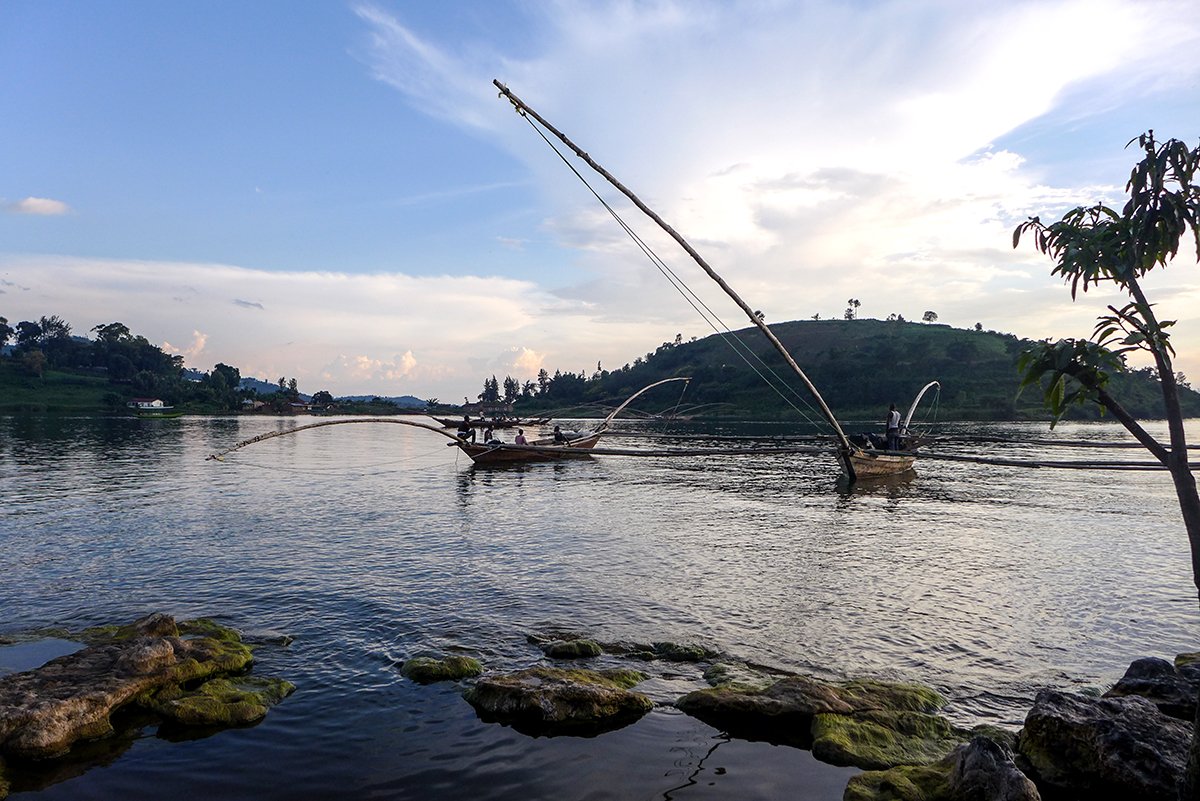 Swimming in the Waters of Lake Kivu