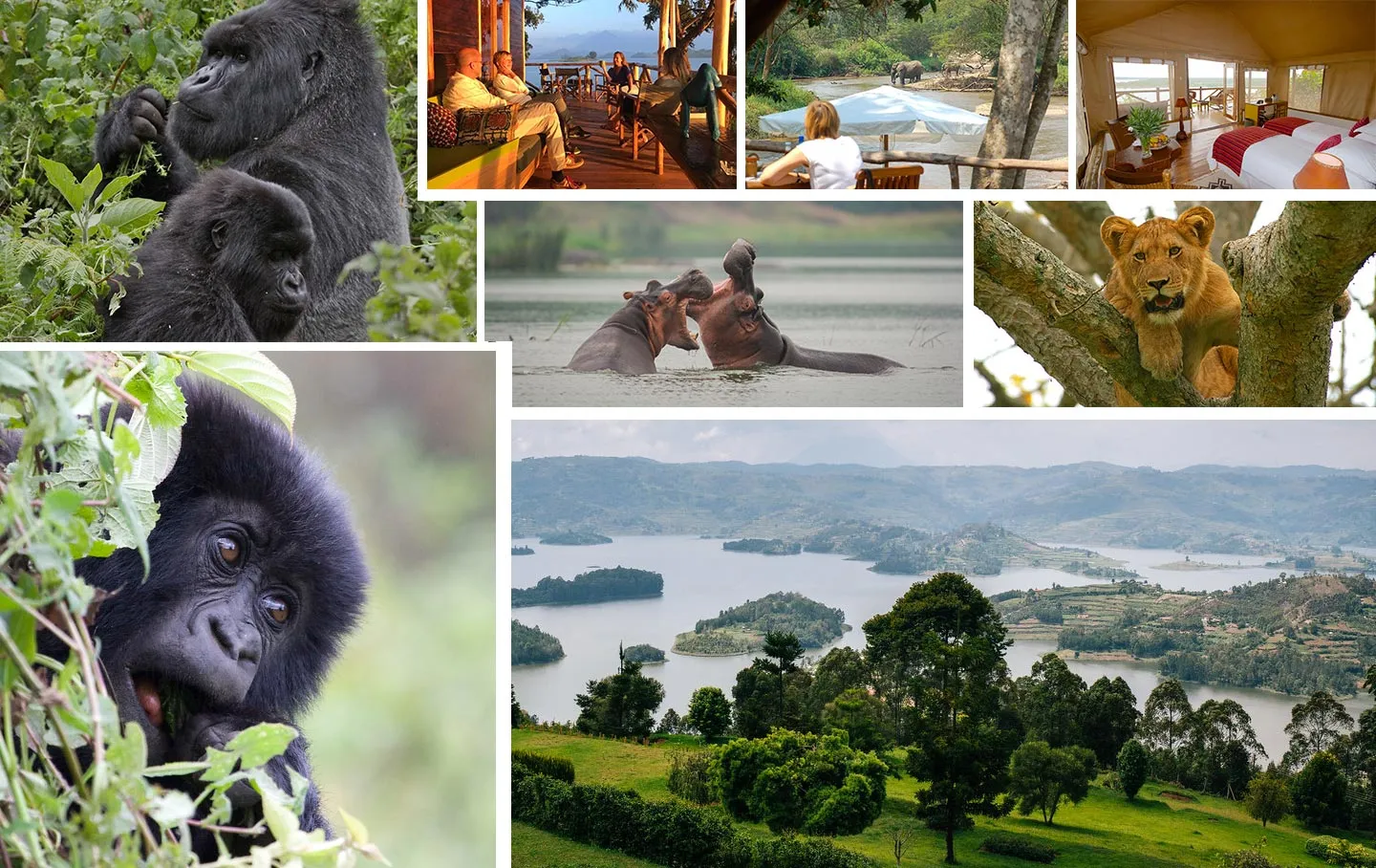 Uganda Gorillas Wildlife Adventure