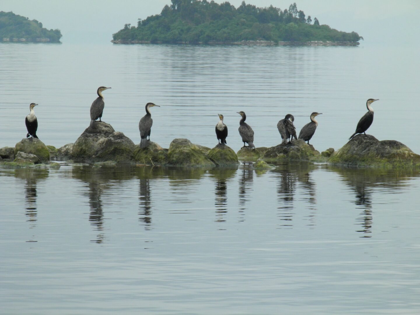 Lake Kivu Scenic Views Rwanda Safari Experience