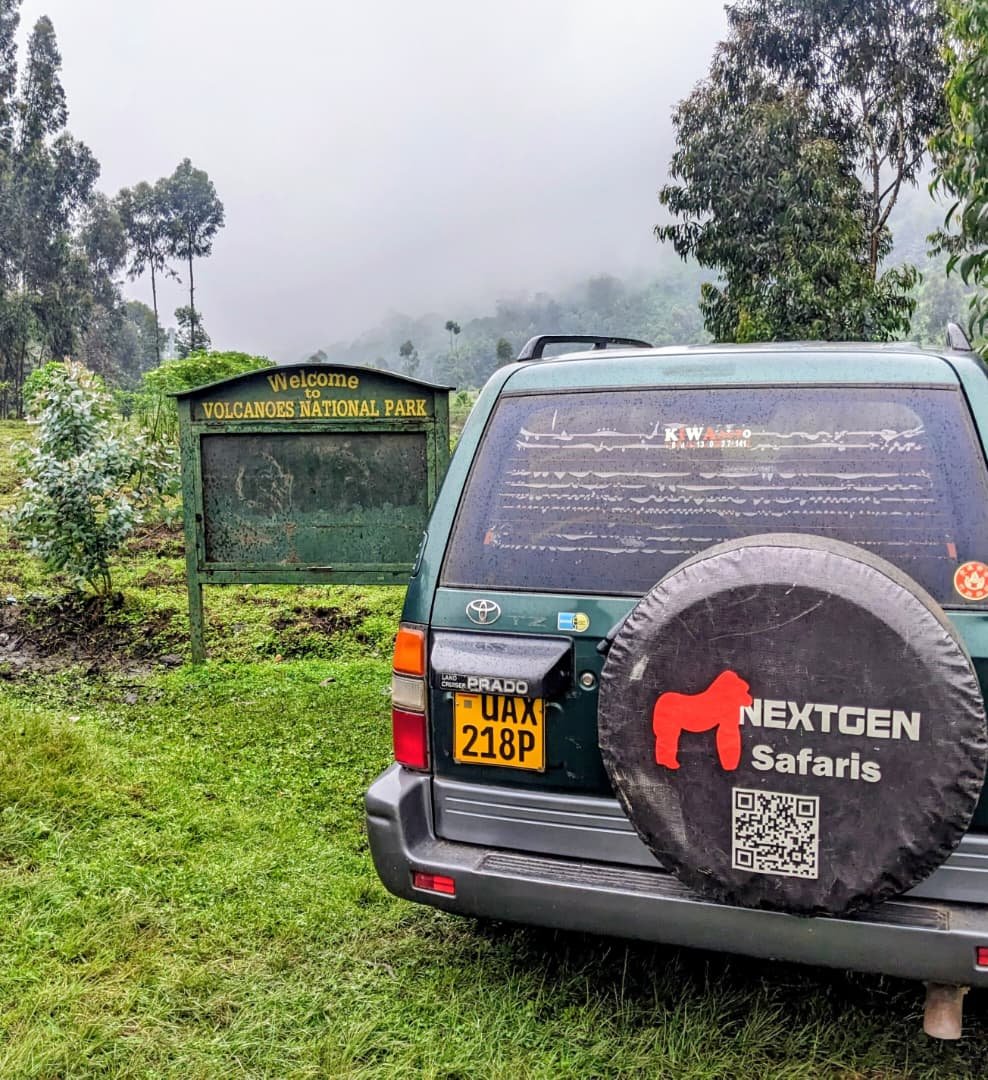 Welcome to Volcanoes National Park with Nextgen Safaris