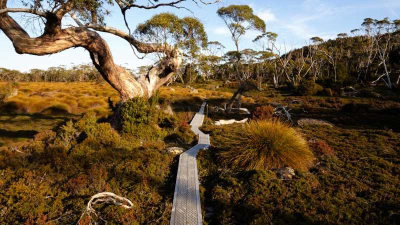 Wild Tracks Overland Camp Guided Walk