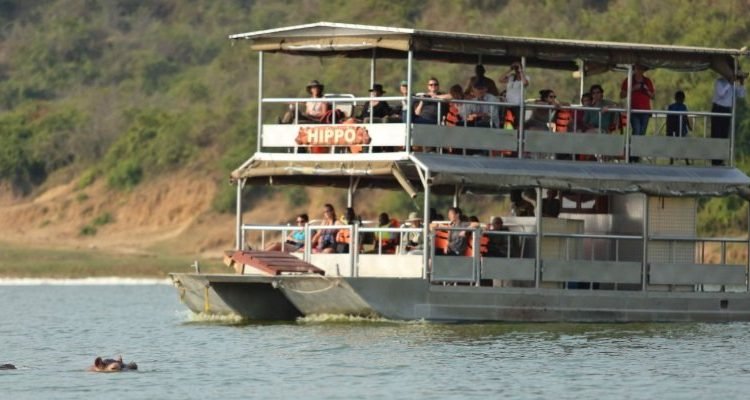Boat Safari Experience