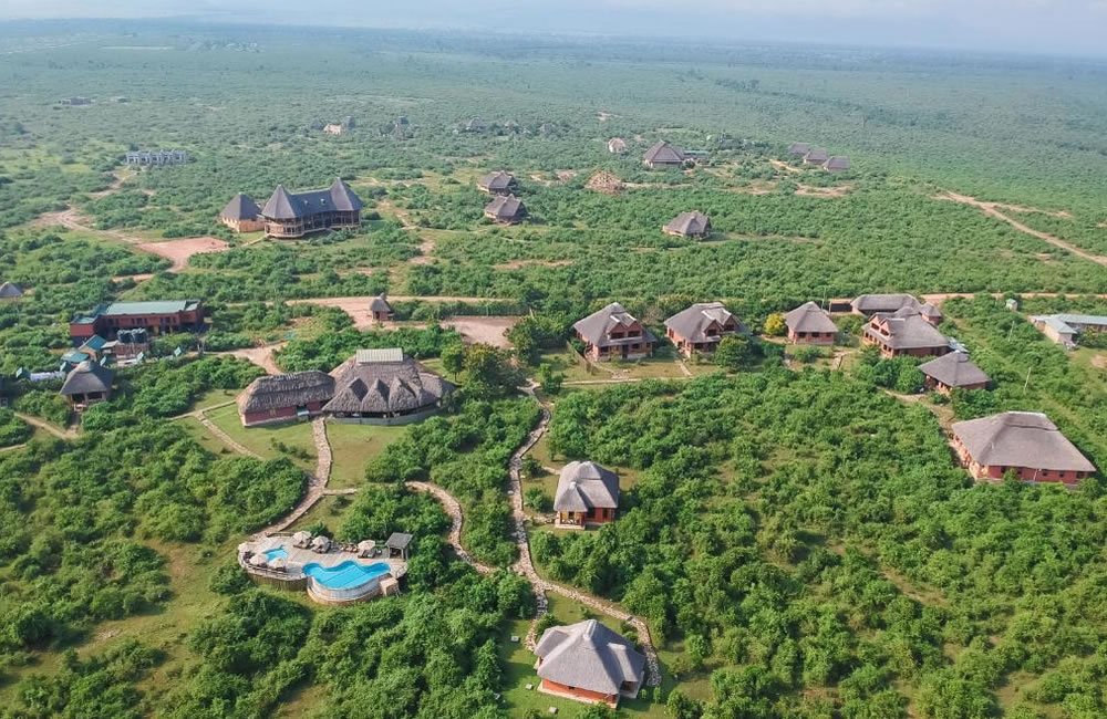 Buffalo Safari Lodge View