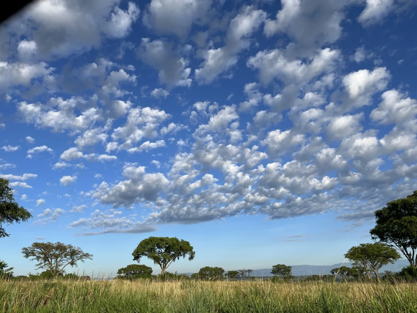 Cloud View