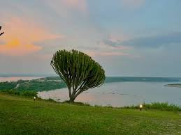 Cloudy Safari Landscape