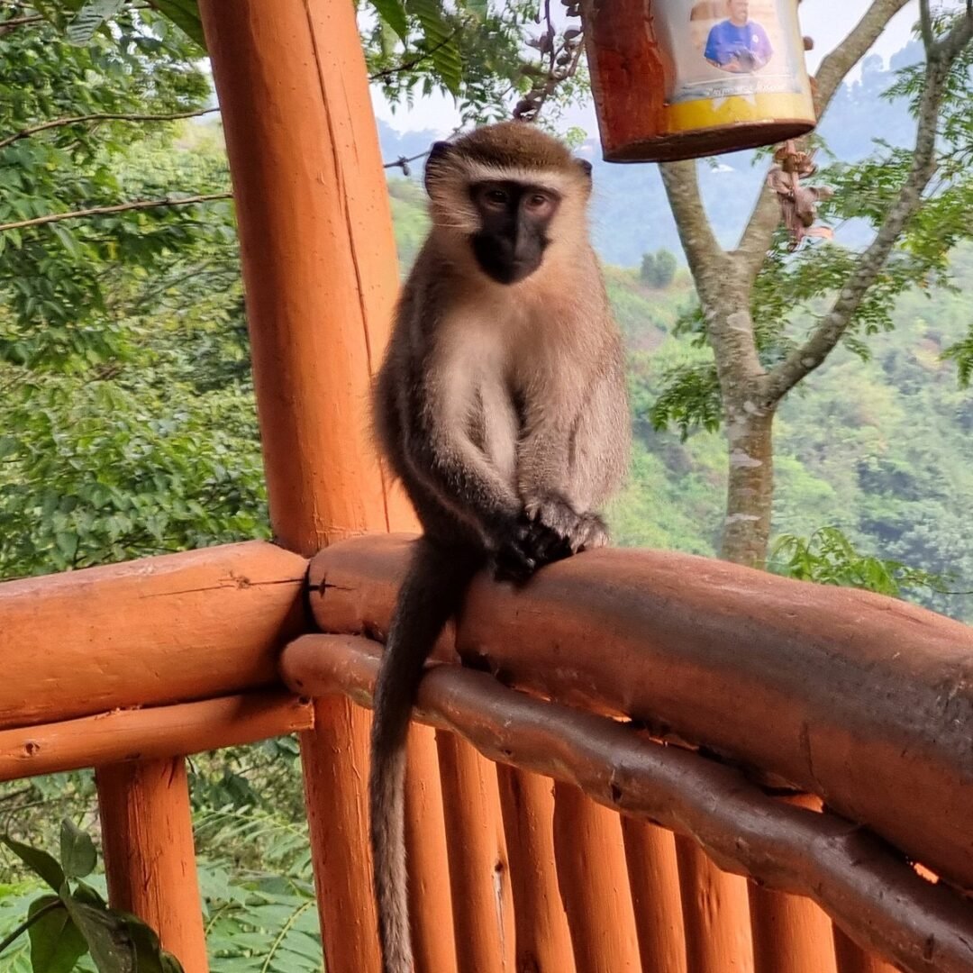 Dave the Cave Eco Lodge Beautiful Setting