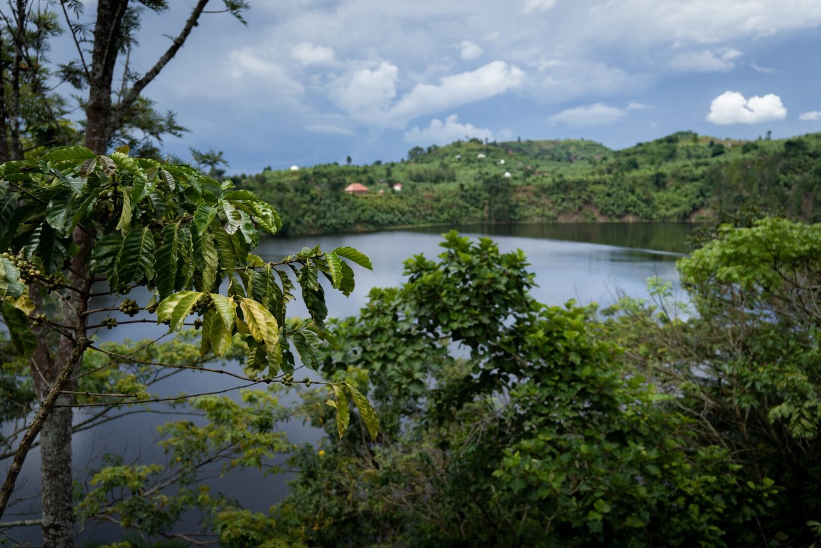 The wet seasons (March to May and October to November) bring lush greenery, vibrant landscapes