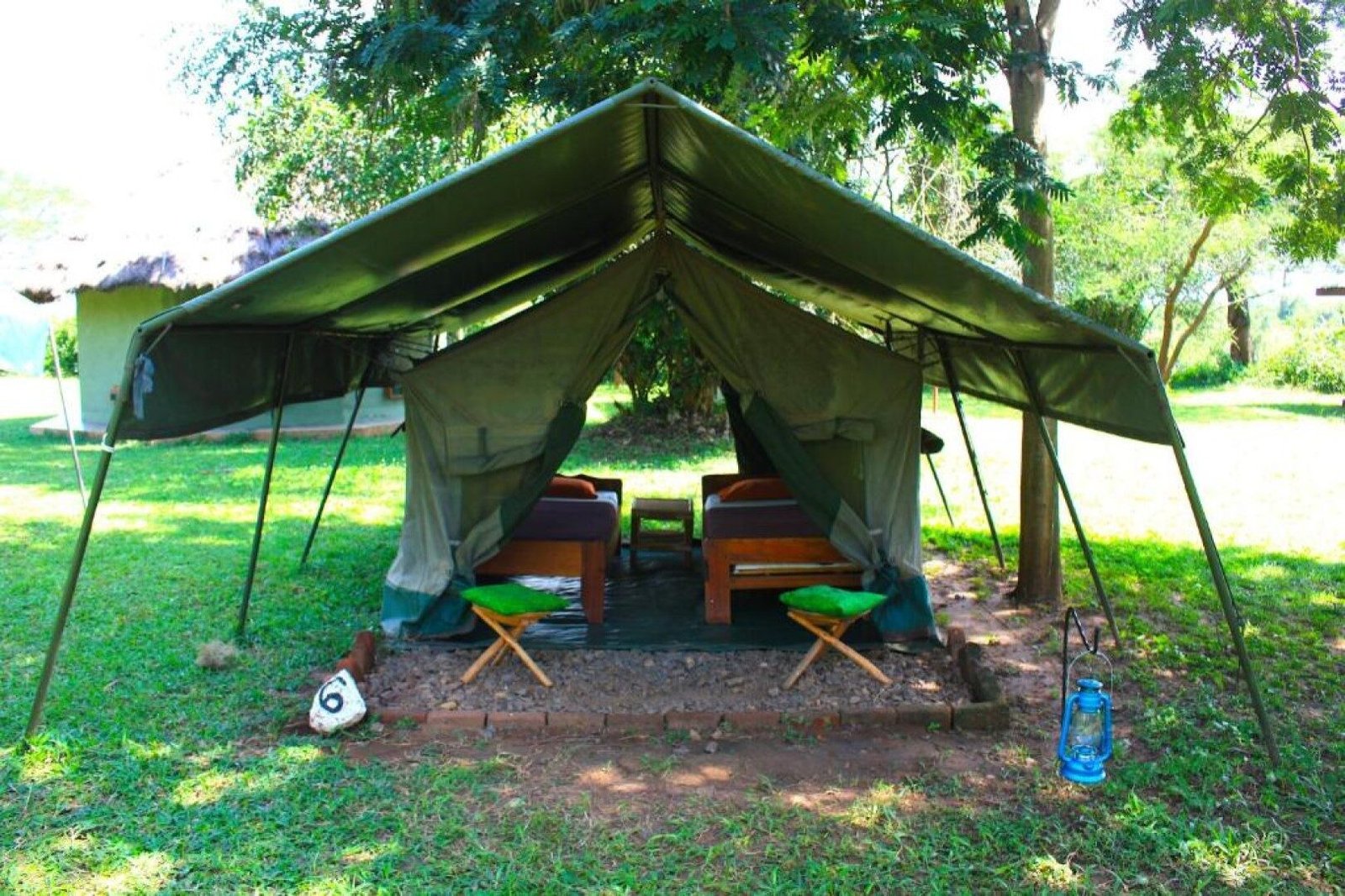 Nextgen Safaris wildlife moment