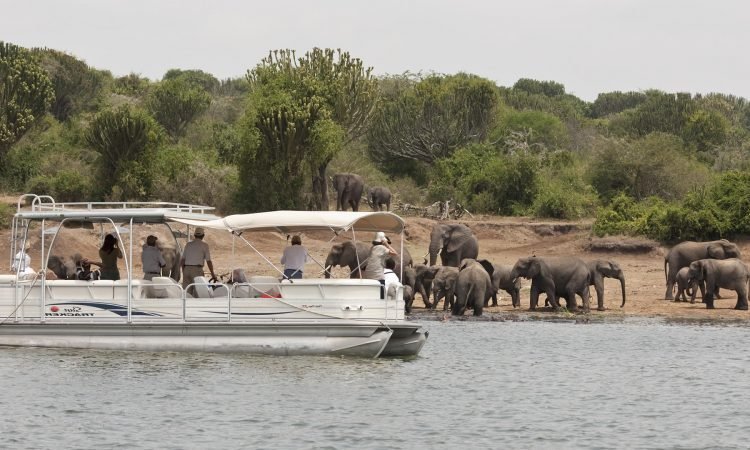 Fishing Safaris in Queen Elizabeth National Park 