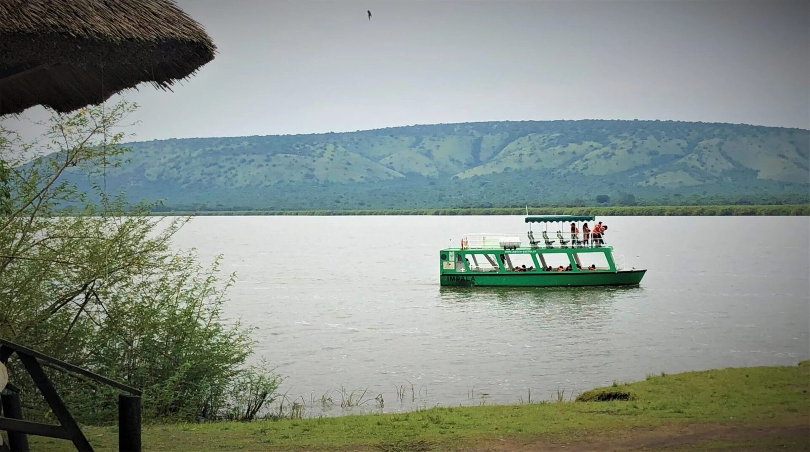 Wildlife tour