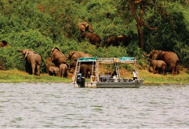 Safari image 3