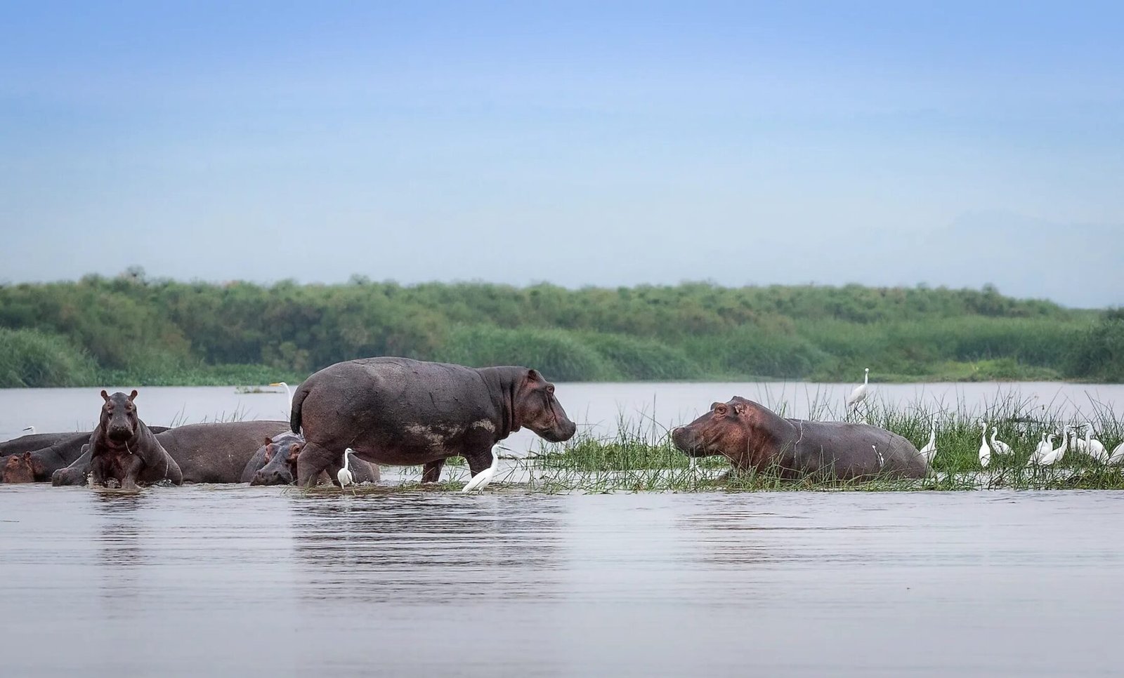 Safari experience 1