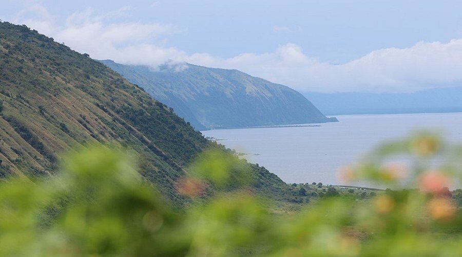 Safari image 1