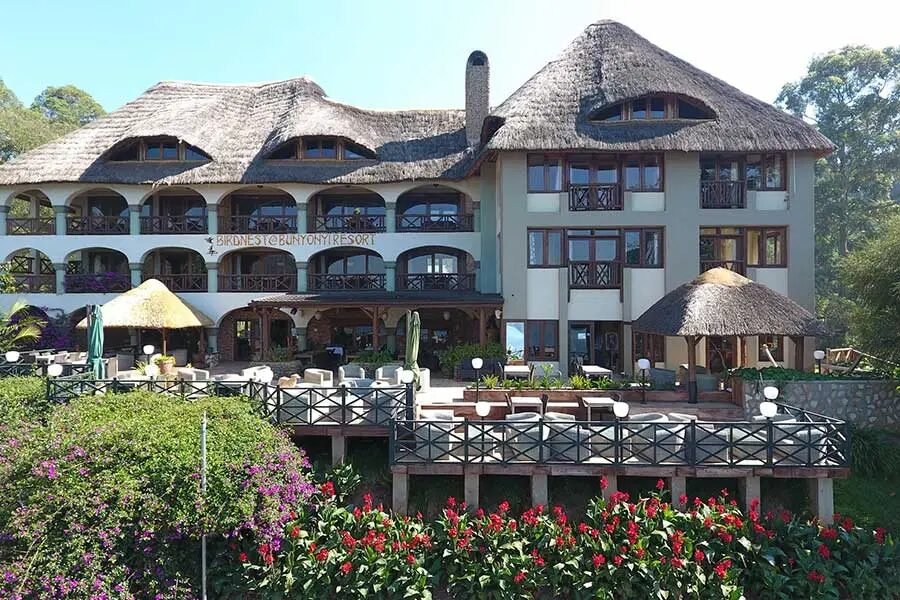 Safari image 1
