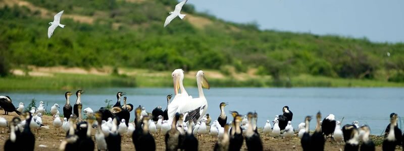 Lake Bunyonyi Fishing Experience Guide for an Unforgettable Adventure