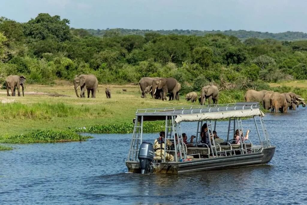 Safari image 2