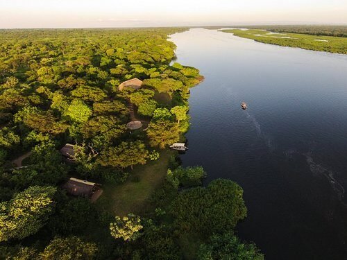 Nextgen Safaris scene