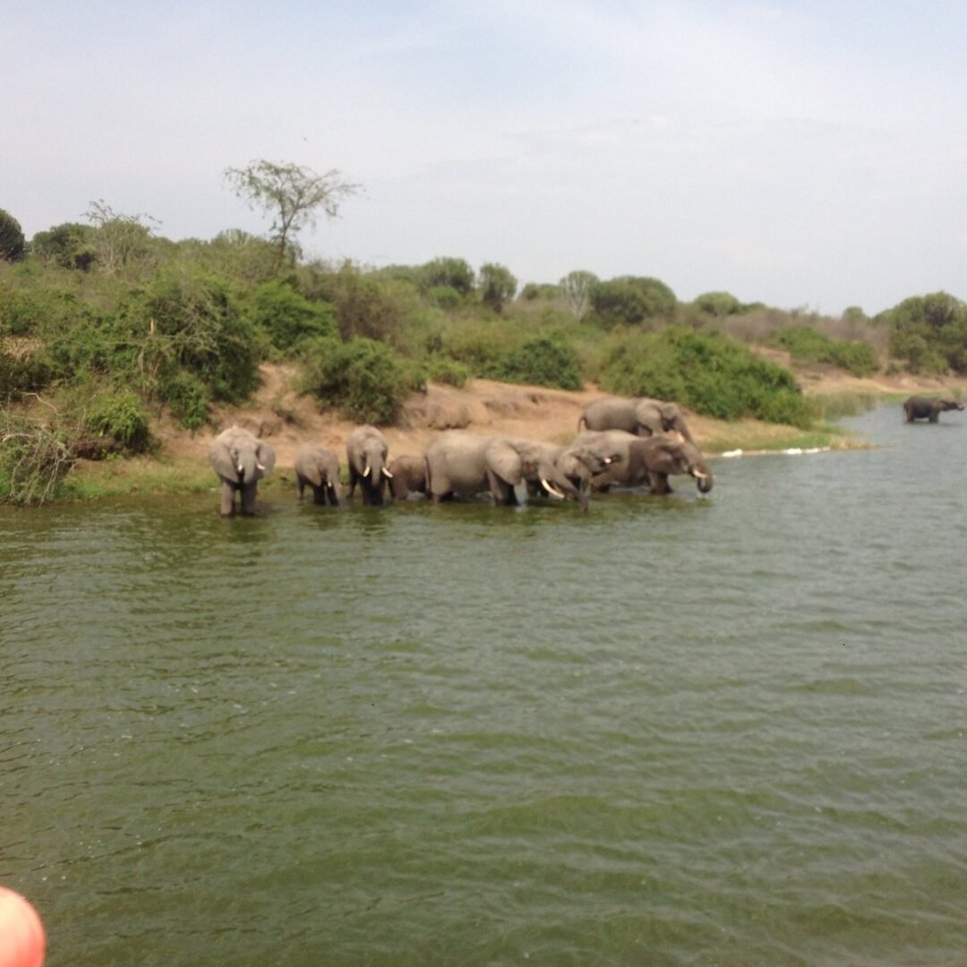Kazinga Channel Season