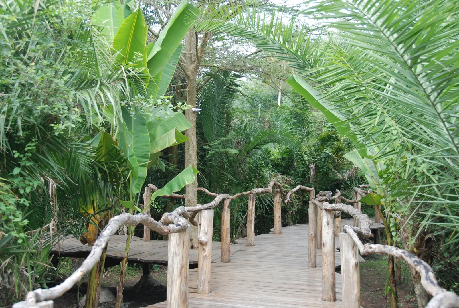 Green Environment