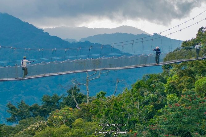 The Nyungwe canopy walk is one of only a few canopy walkways in Africa and offers a rare opportunity to explore the rainforest from above the treetops. Walking across the suspended bridge surrounded by towering trees 