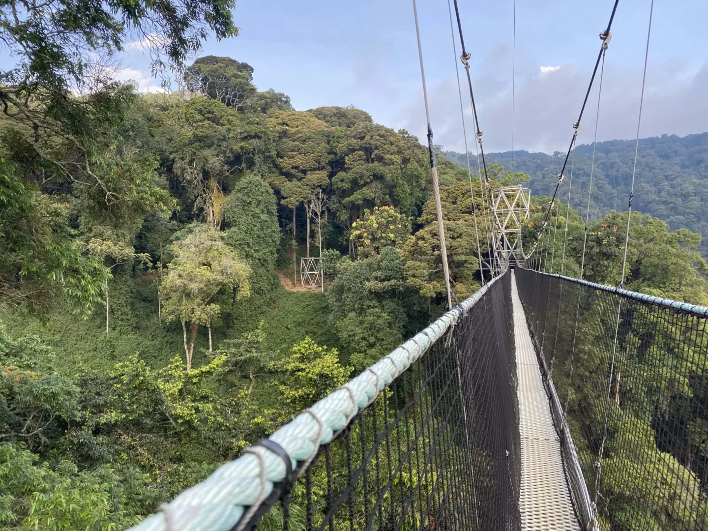 Nyungwe Canopy Walk