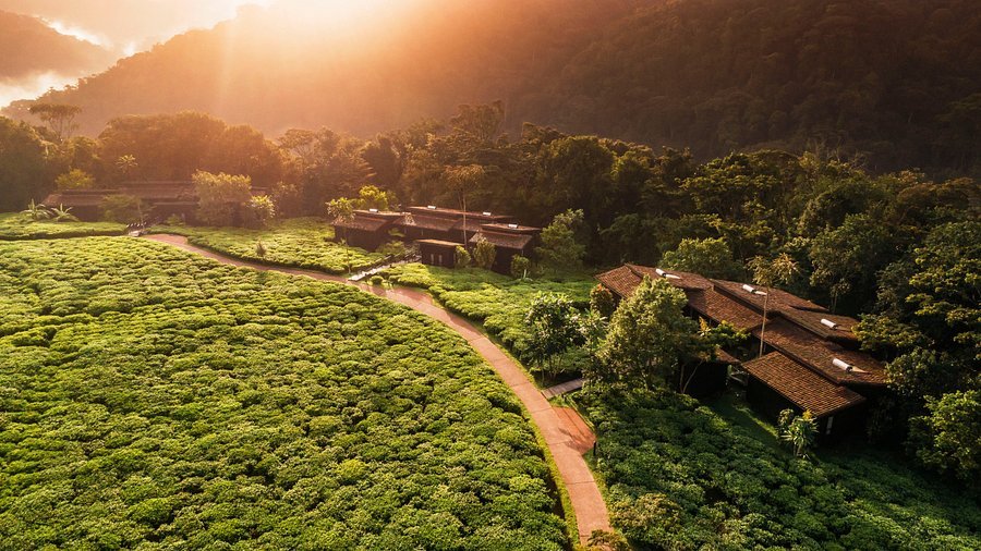 One&Only Nyungwe House is one of Rwanda’s most luxurious rainforest lodges and a top choice for travelers exploring the Nyungwe canopy walk. Located within a scenic tea plantation near Nyungwe 