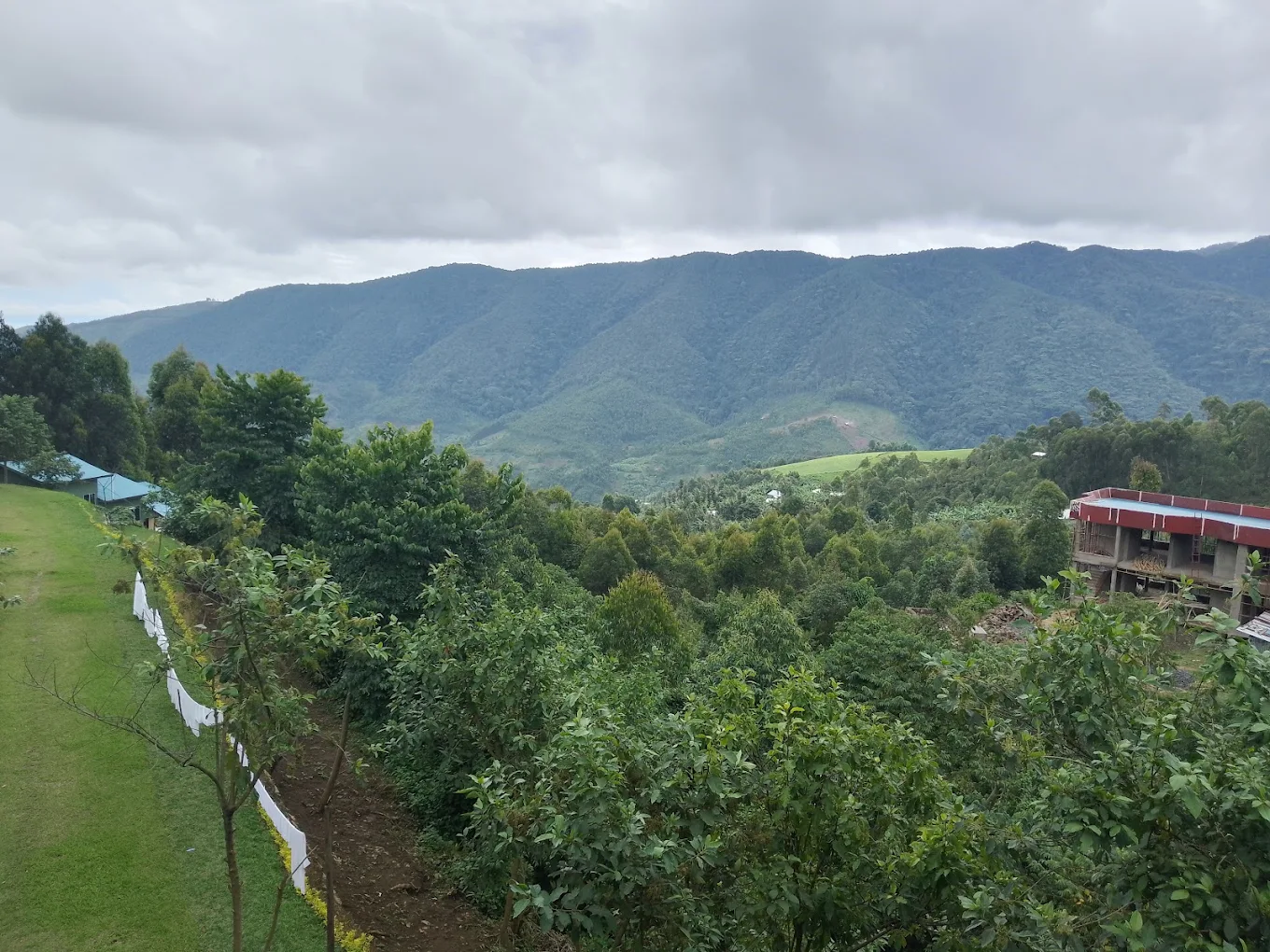 Chimpanzee Lodge Nyungwe Forest Safari Stay