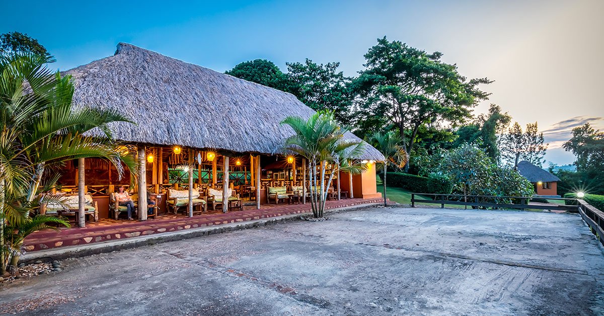 Accommodation is another important factor when calculating Chimpanzee Safari Costs. Uganda offers a wide range of accommodation options near chimpanzee destinations,