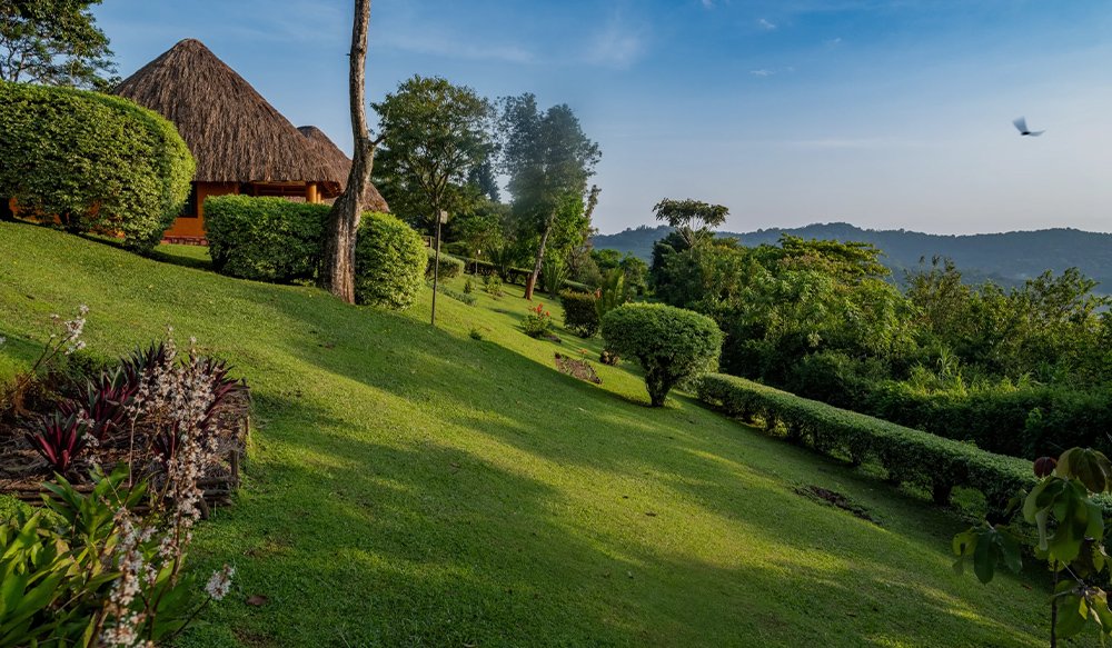 Accommodation Options for Family Chimpanzee Tours