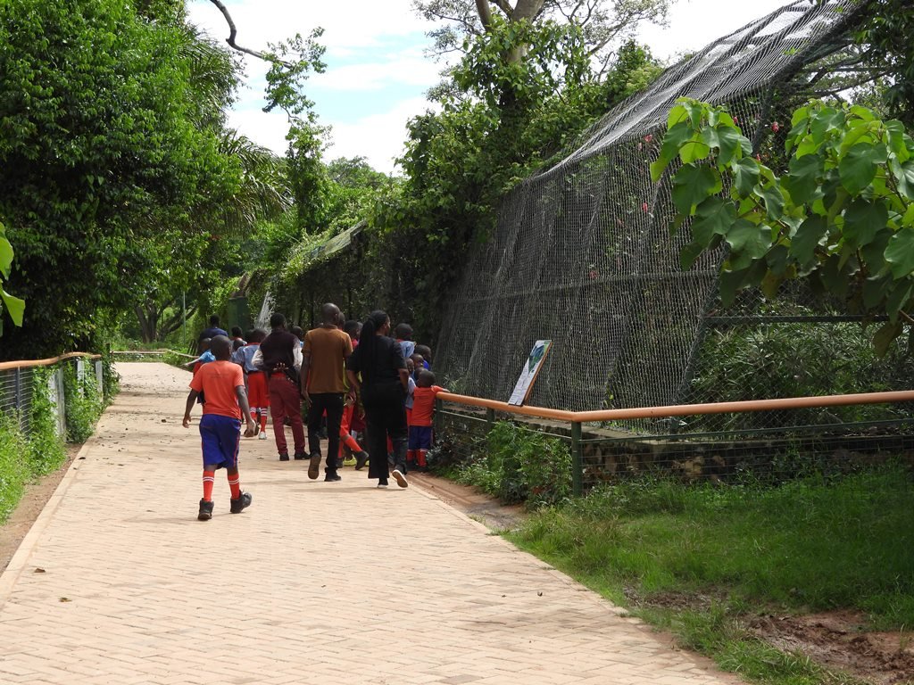 Unique Activities at Entebbe Zoo Uganda Wildlife Experience
