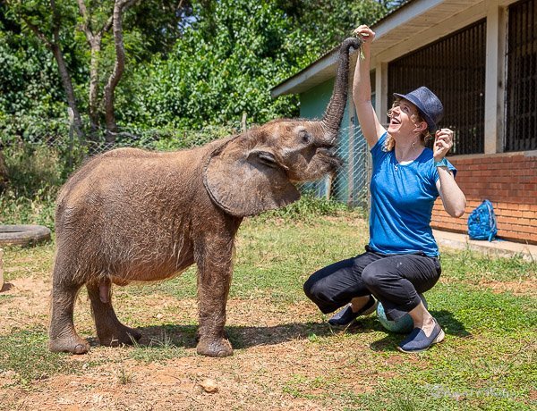 Activities at Entebbe Zoo Beyond Animal Viewing Uganda