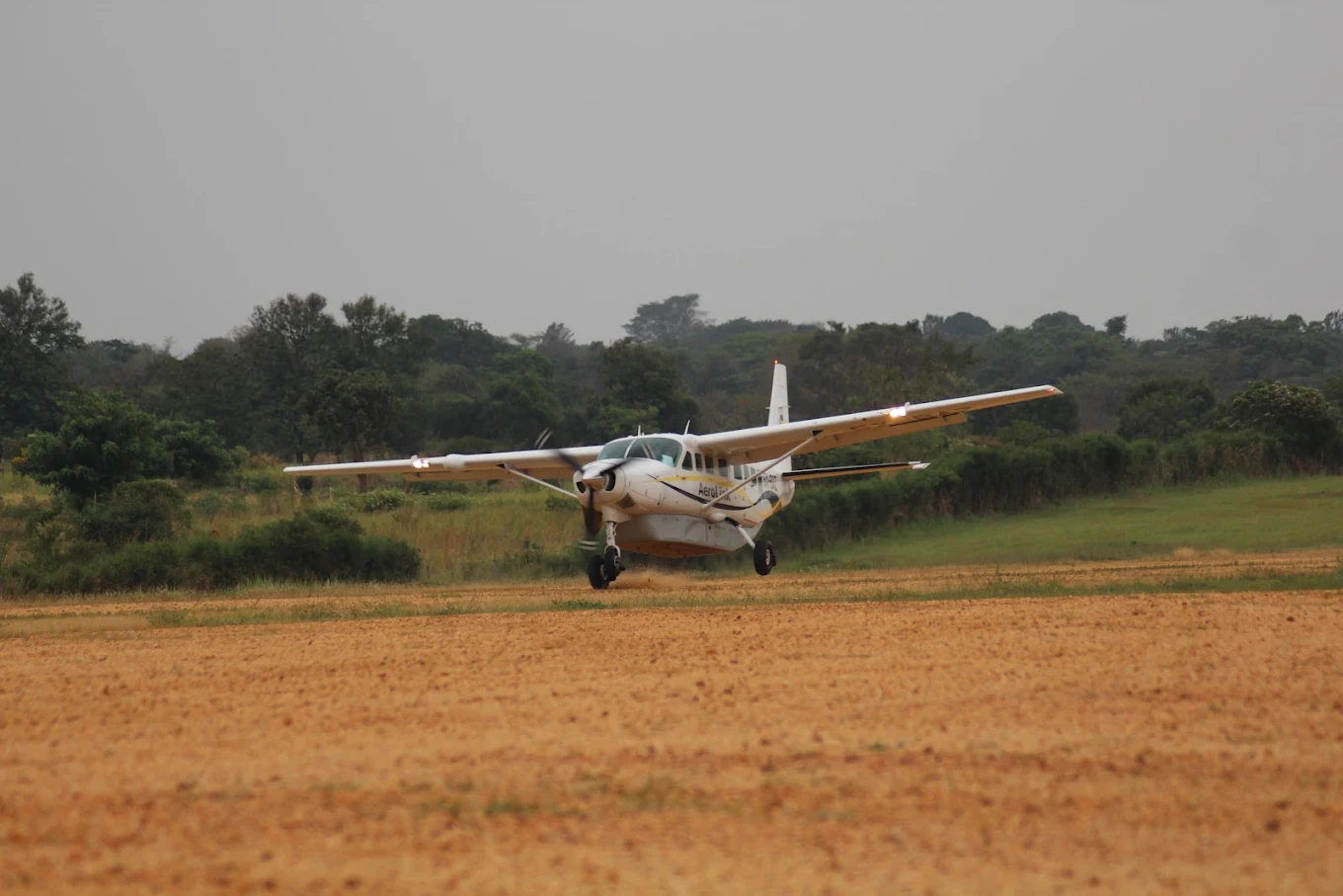 Aerolink Flights to Bwindi with Nextgen Safaris