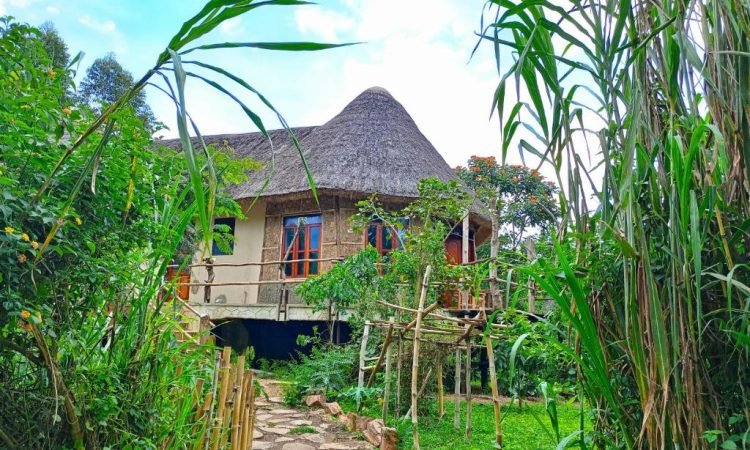 Affordable Lodges Near Chimpanzee Destinations