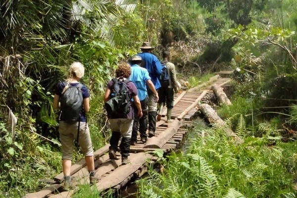 Birdwatching and Nature Walks Safari