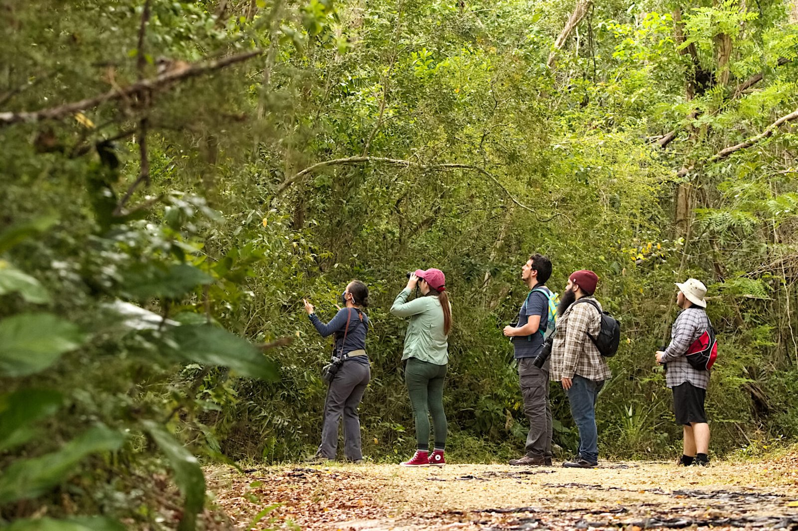 Explore Birdwatching and Nature Walks in Uganda
