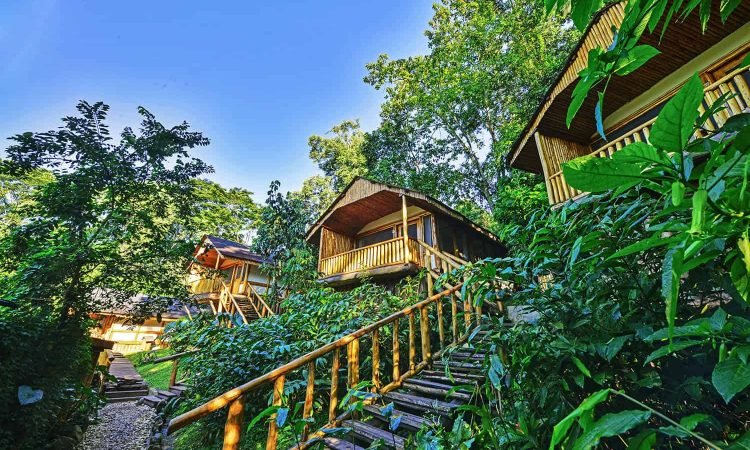 Best Lodges and Accommodation in Bwindi Gorilla Trekking Area