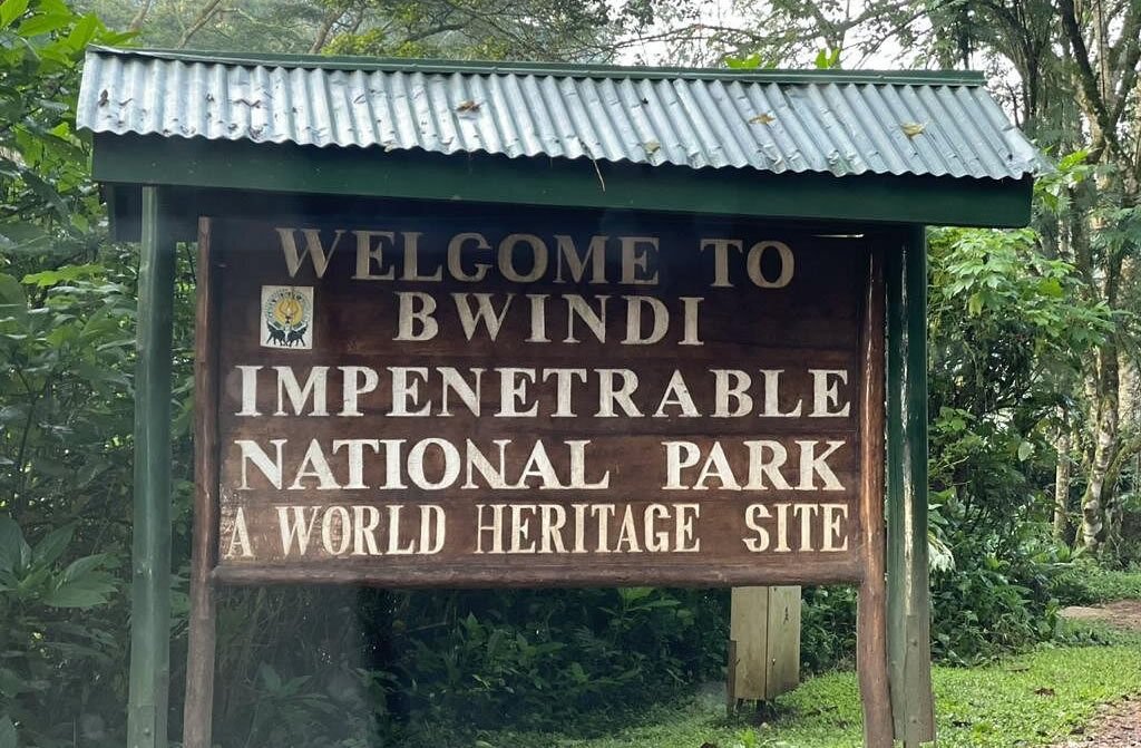 Why Choose Gorilla Trekking Tours from Entebbe?