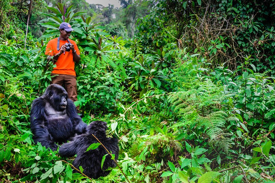 Italian Speaking Guides on Uganda and Rwanda Safari