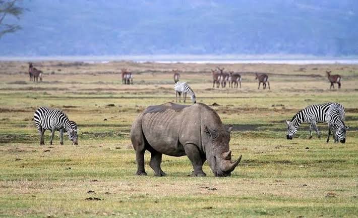 Burundi and East African Safari Adventure Combination